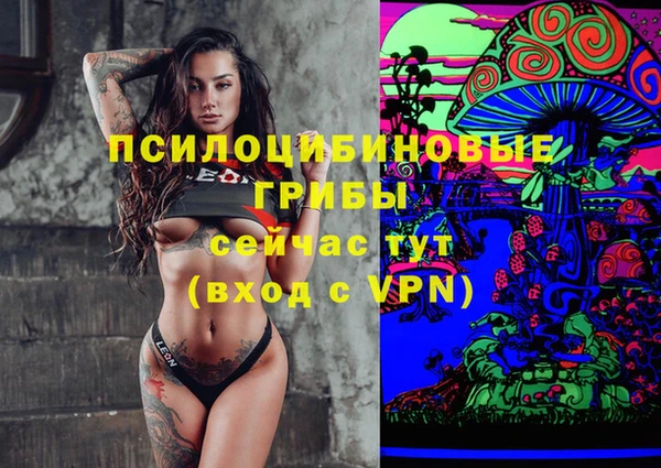 шишки Алзамай