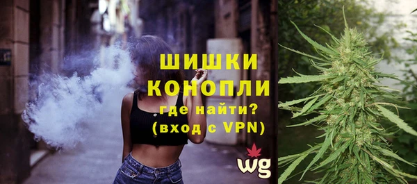 шишки Алзамай