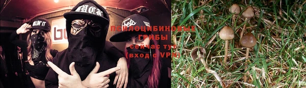 ПСИЛОЦИБИНОВЫЕ ГРИБЫ Алексин