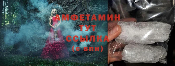 шишки Алзамай