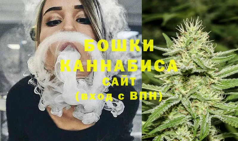 Бошки Шишки OG Kush  купить наркоту  Лаишево 